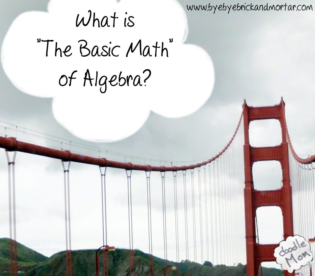 What Is ‘The Basic Math Of Algebra’? – DoodleMom's Homeschooling Life