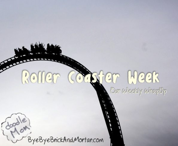 Roller Coaster Week {Our Weekly WrapUp} – DoodleMom's Homeschooling Life